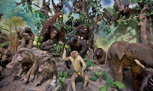 Jalan-Jalan Ke Medan? Ini Dia 10 Tempat Wisata Di MedanI