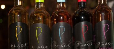 Sudah Pernah Dengar Minuman Plaga? Ini Dia Manfaat Minuman Plaga