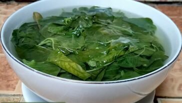 Ini Dia 5 Khasiat Sayur Bening Bayam yang Wajib Anda Ketahui