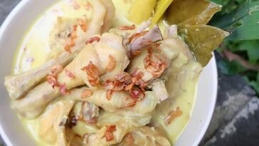 Ini Dia 5 Resep Opor Ayam Mini yang Simple dan Bisa Anda Coba Di Rumah