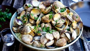 Anda Penikmat Kerang? Simak Yuk,Manfaat Sekaligus Tips Memasaknya Dibawah Ini