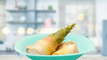 Tips Jitu Memasak Rebung Agar Tidak Bau Pesing dan Pahit